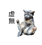 ねこさんミックス（個別スタンプ：3）