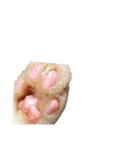 ねこさんミックス（個別スタンプ：37）