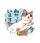 割と丁寧な感じのキジ猫スタンプ（個別スタンプ：10）