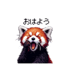 ドット絵 レッサーパンダ 日常会話（個別スタンプ：1）