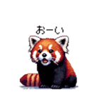 ドット絵 レッサーパンダ 日常会話（個別スタンプ：20）