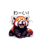 ドット絵 レッサーパンダ 日常会話（個別スタンプ：21）