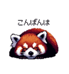 ドット絵 レッサーパンダ 日常会話（個別スタンプ：25）