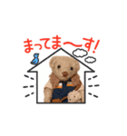 コウタのかわいい動くスタンプ1（個別スタンプ：1）