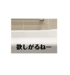 白ポメのマリです。4（個別スタンプ：8）