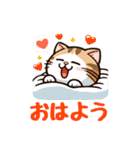 猫ちゃんず(日常会話)（個別スタンプ：6）