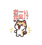 猫ちゃんず(日常会話)（個別スタンプ：10）