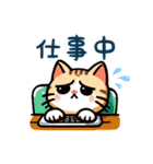 猫ちゃんず(日常会話)（個別スタンプ：11）