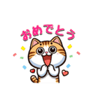 猫ちゃんず(日常会話)（個別スタンプ：15）