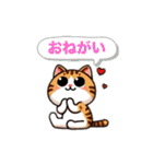 猫ちゃんず(日常会話)（個別スタンプ：17）