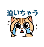 猫ちゃんず(日常会話)（個別スタンプ：21）