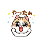 猫ちゃんず(日常会話)（個別スタンプ：28）