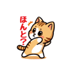 猫ちゃんず(日常会話)（個別スタンプ：31）