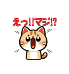 猫ちゃんず(日常会話)（個別スタンプ：32）