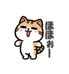 猫ちゃんず(日常会話)（個別スタンプ：33）