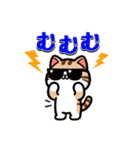 猫ちゃんず(日常会話)（個別スタンプ：34）