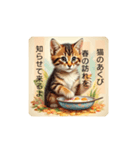 ねこんちゅの光（個別スタンプ：15）