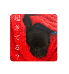 日常で使えるフレブルすたんぷ（個別スタンプ：20）