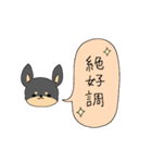 チワ文字（個別スタンプ：35）