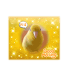 マメルリハ達17（個別スタンプ：1）