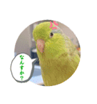 マメルリハ達17（個別スタンプ：2）