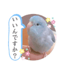 マメルリハ達17（個別スタンプ：4）