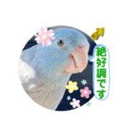 マメルリハ達17（個別スタンプ：7）