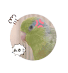マメルリハ達17（個別スタンプ：10）