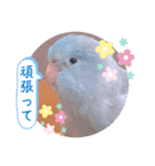 マメルリハ達17（個別スタンプ：20）
