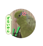 マメルリハ達17（個別スタンプ：22）