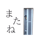いつメン最強！スタンプ（個別スタンプ：15）