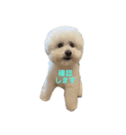 PON THE DOG！（個別スタンプ：15）