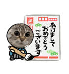 愛猫［ミルク］のスタンプ（個別スタンプ：9）