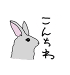 左手で描いたうさぎです（個別スタンプ：2）