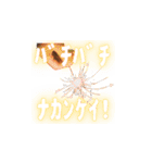 毎日使える 声に出したい日本語たち①（個別スタンプ：13）