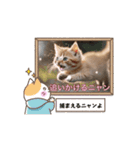 可愛い子猫のスタンプです！⑧（個別スタンプ：6）