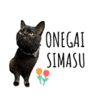 黒猫ナイトくん（個別スタンプ：7）
