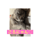 ニコたんの汎用性高いスタンプ（個別スタンプ：6）