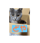 ニコたんの汎用性高いスタンプ（個別スタンプ：7）