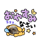 我が家のチワワ★リリィちゃん（個別スタンプ：1）