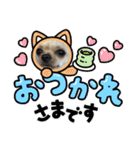 我が家のチワワ★リリィちゃん（個別スタンプ：2）