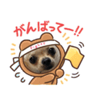 我が家のチワワ★リリィちゃん（個別スタンプ：8）