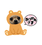 我が家のチワワ★リリィちゃん（個別スタンプ：14）