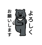 ていねいなくま Polite Bears（個別スタンプ：18）