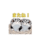 レオパであいさつ（個別スタンプ：17）