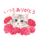 春の花♡ねことうさぎのスタンプ（個別スタンプ：13）