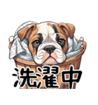 ただのあざとい犬（個別スタンプ：2）