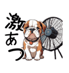 ただのあざとい犬（個別スタンプ：12）