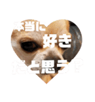 428(5)（個別スタンプ：2）