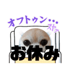 428(5)（個別スタンプ：19）